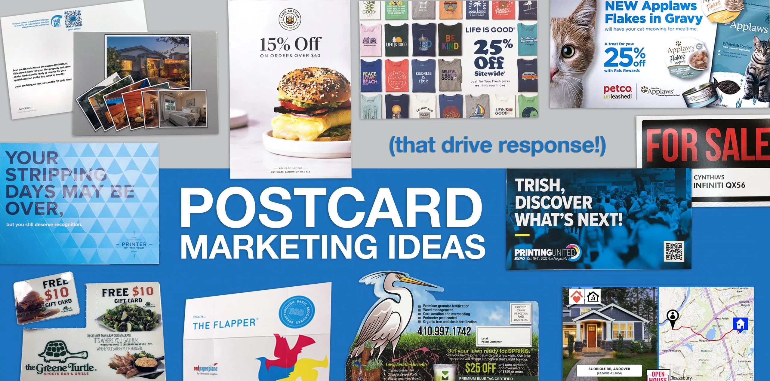 Premium Postcard & Rack Card Printing | Wholesale Direct Mail