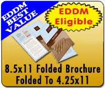 8.5 x 11 Folded Brochure Direct Mail - 8.5 x 11 Folded Brochure