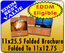 11 x 25.5 Bifold Direct Mail - 11 x 25.5 Bifold