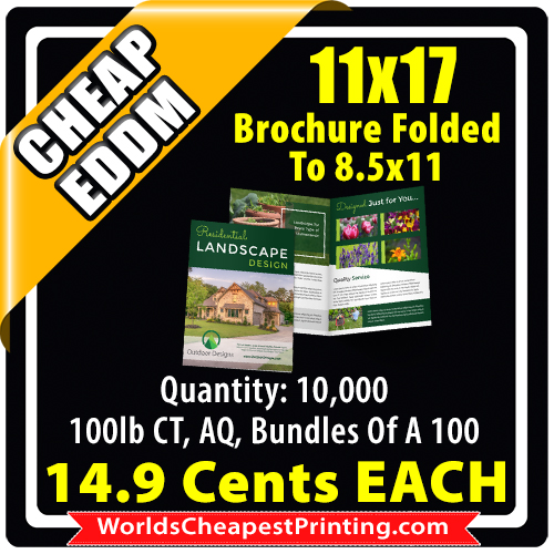 11x17 Folded Brochure Direct Mail - 11x17 Folded Brochure